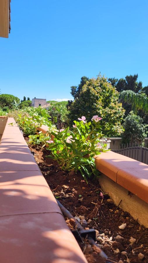 باليرمو Villa Rosa المظهر الخارجي الصورة