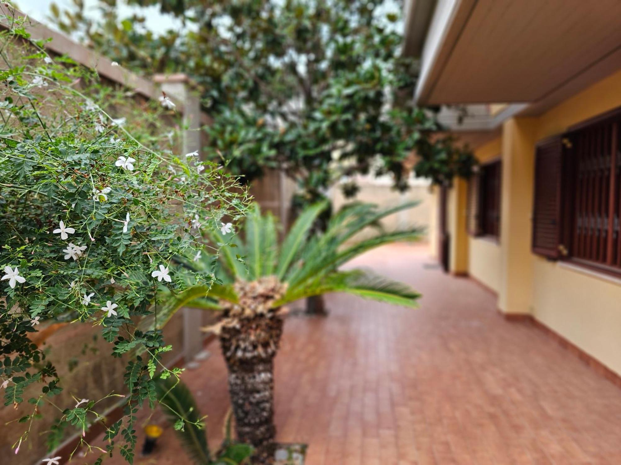 باليرمو Villa Rosa المظهر الخارجي الصورة